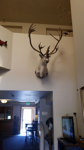 Others 5, Lakeshore Inn & Suites, Anchorage