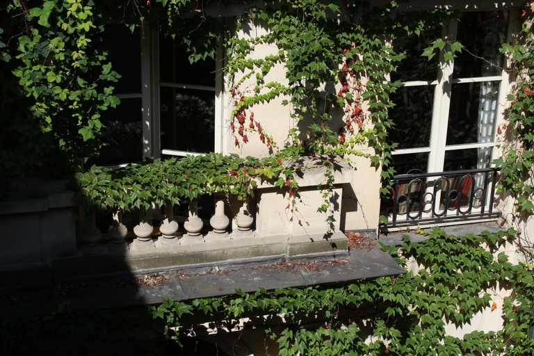 Exterior & Views 2, Le Relais Saint Sulpice, Paris