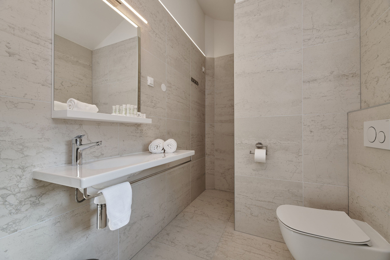 Bathroom 3, B&B Artegnana 1798, Grožnjan