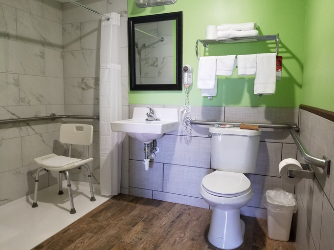 Bathroom 4, Econo Lodge Cadillac, Wexford