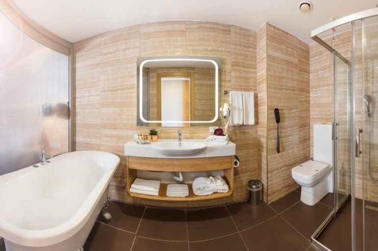 Bathroom 4, Istanbul Medikal Termal Hotel, Gebze