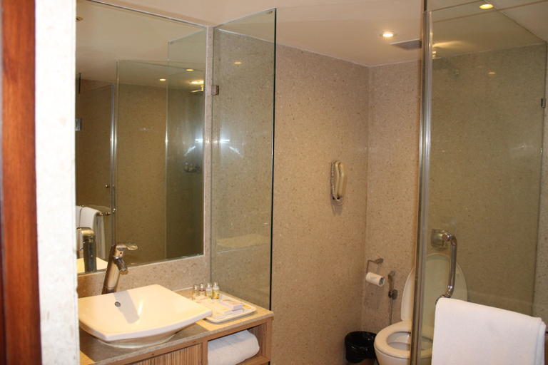 Bathroom 5, Pride Plaza Hotel, Ahmedabad, Ahmadabad