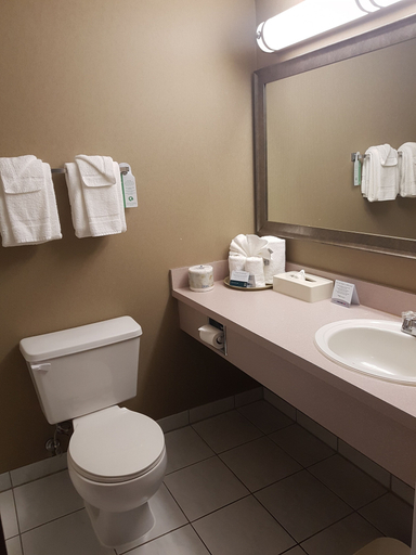 Bathroom 4, Quality Hotel & Conference Centre, Division No. 16