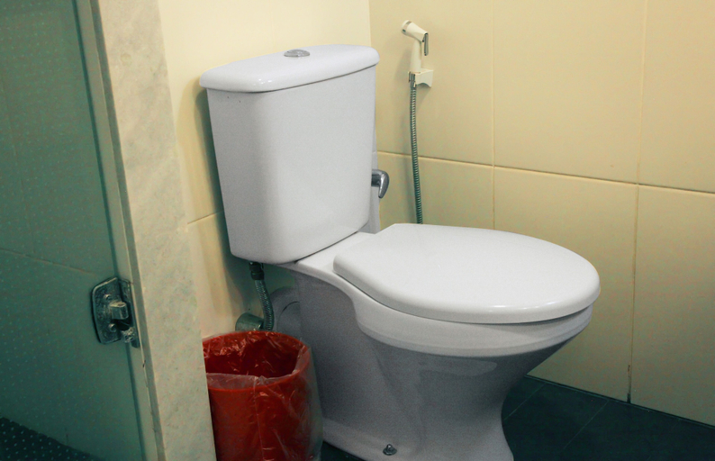 Bathroom 4, ibis Bacabal, Bacabal