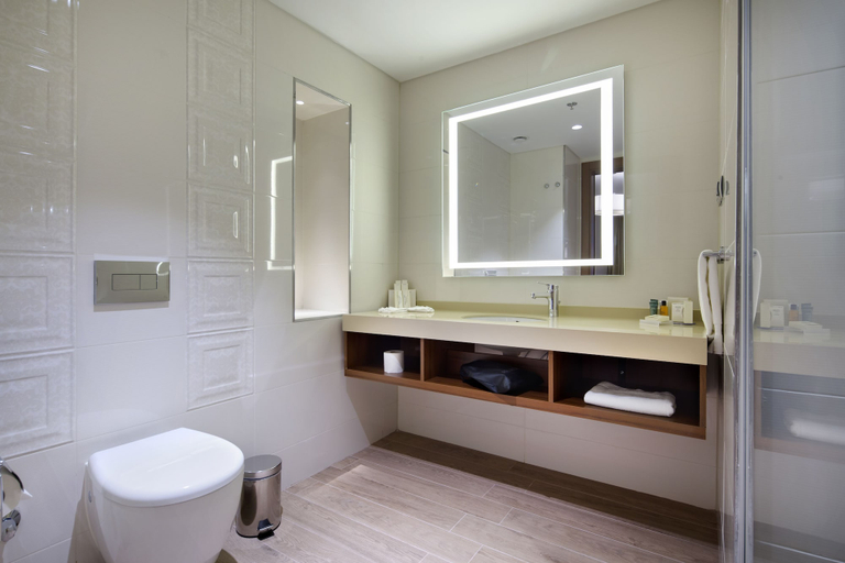 Bathroom 5, Hilton Garden Inn Istanbul Beylikduzu, Büyükçekmece