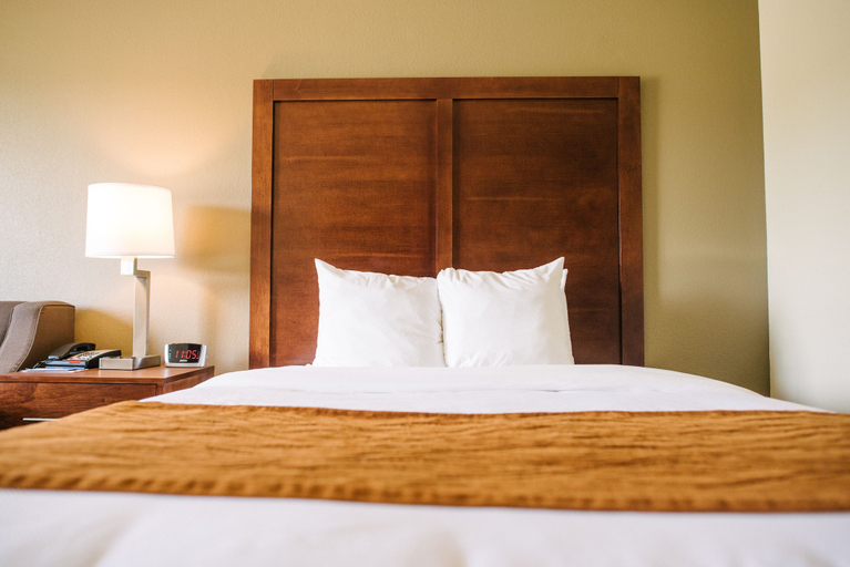 Bedroom 3, Comfort Inn & Suites Custer - Crazy Horse Area, Custer