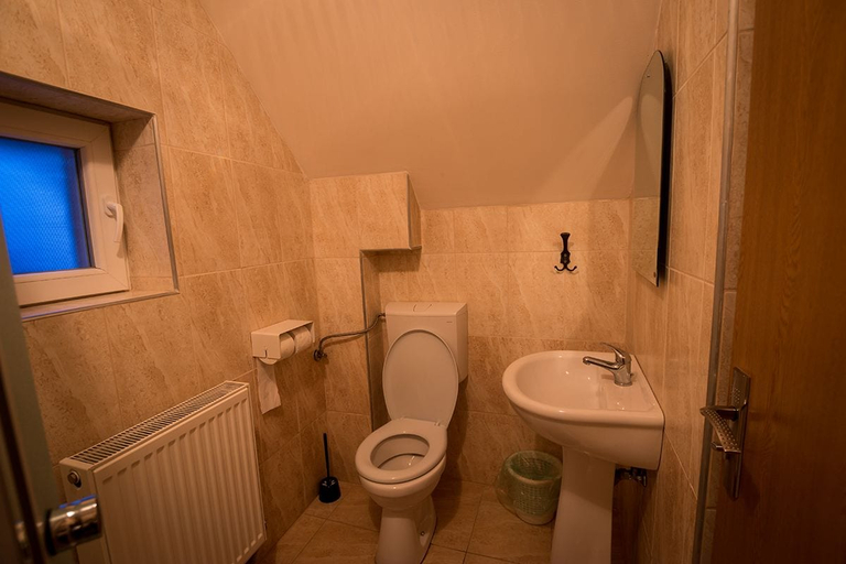Bathroom 3, Pensiunea Cabana Sestina, Lunca Bradului