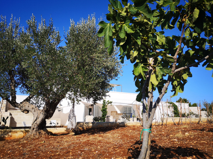 Front of property 2, Masseria Poesia, Brindisi