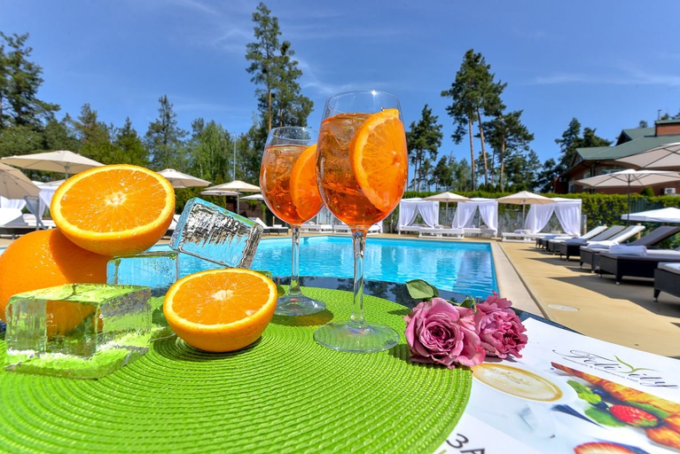 Food & Drinks 5, Seasons SPA Boutique Hotel, Holosiïvs'kyi