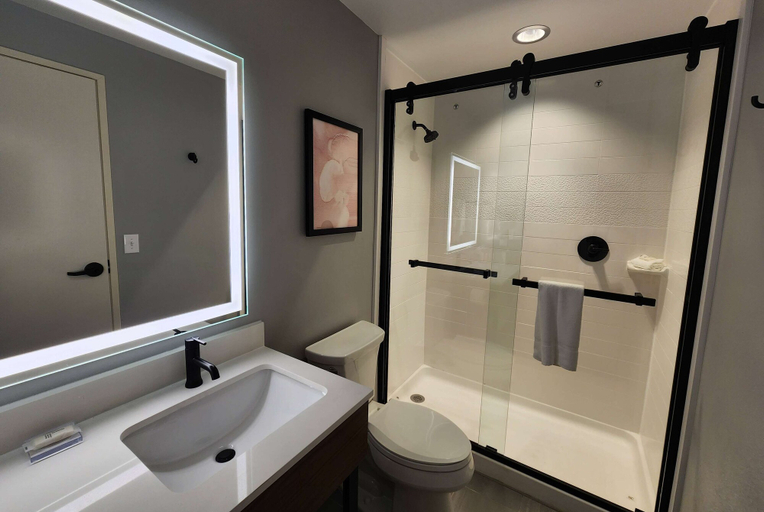 Bathroom 4, La Quinta Inn & Suites by Wyndham Del Rio, Val Verde