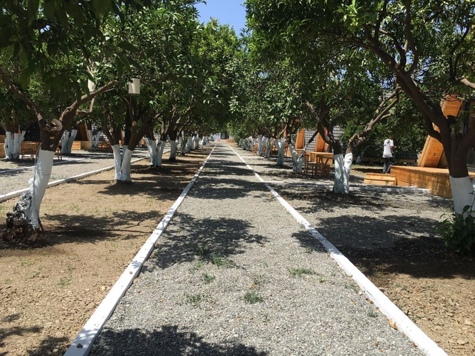 Exterior 5, Limon Datca, Datça