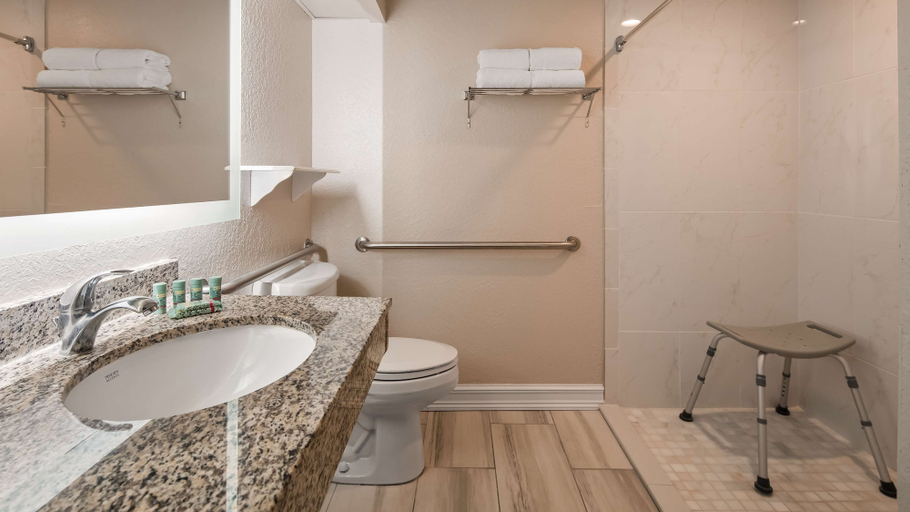 Bathroom 4, Best Western Tampa, Hillsborough
