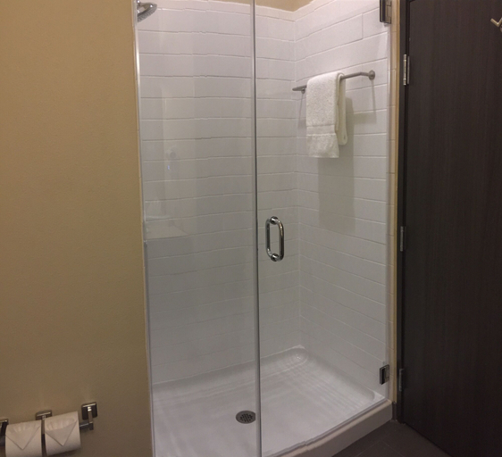 Bathroom 4, Comfort Suites Near Sam Houston Race Park, Houston