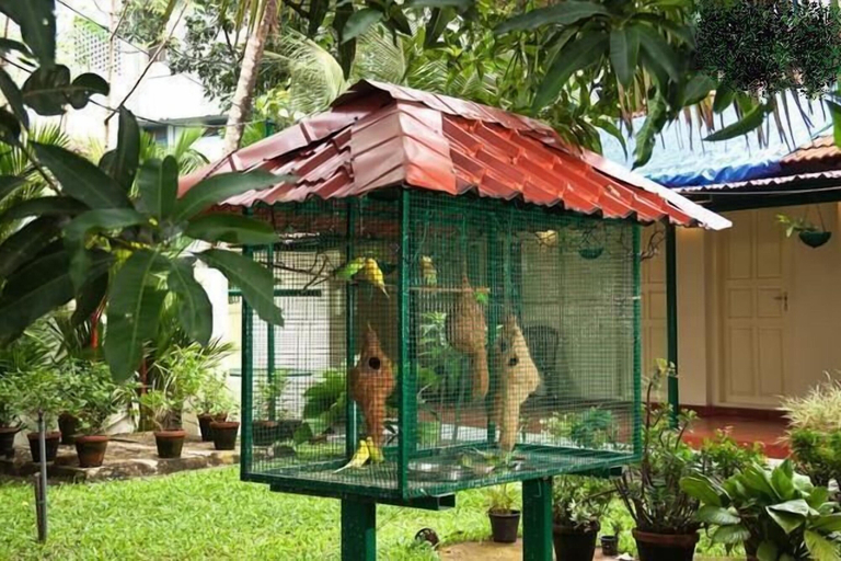 Others 5, Palm Grove Service Villa, Ernakulam