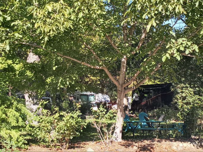 Others 4, Bigfoot RV & Cabins Park, Siskiyou