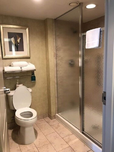 Bathroom 4, Homewood Suites by Hilton Toronto-Markham, York