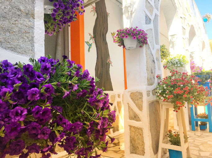 Exterior & Views 2, Sade Butik Otel, Bodrum