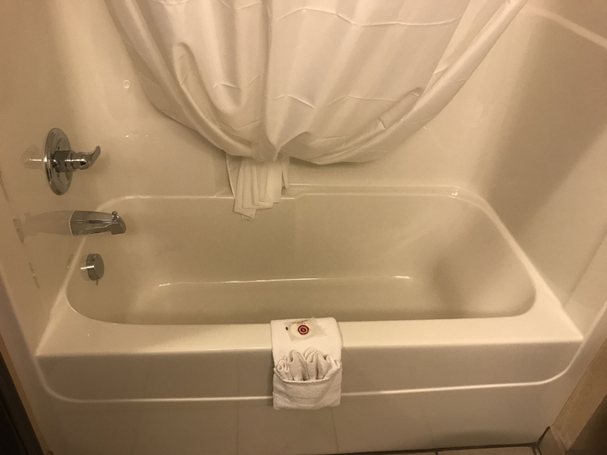 Bathroom 4, Comfort Inn & Suites, Division No. 6