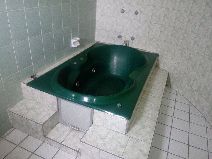 Bathroom 4, Hotel El 2000, Morelia