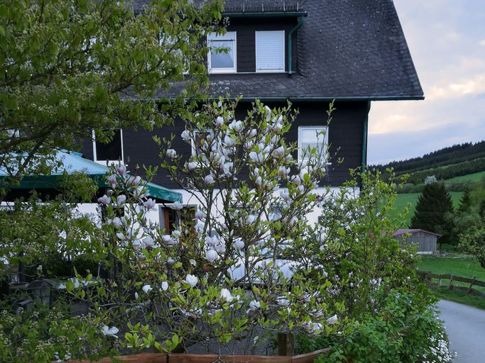 Exterior & Views 2, Bauernhof Pension Wiebelhaus Mester, Olpe