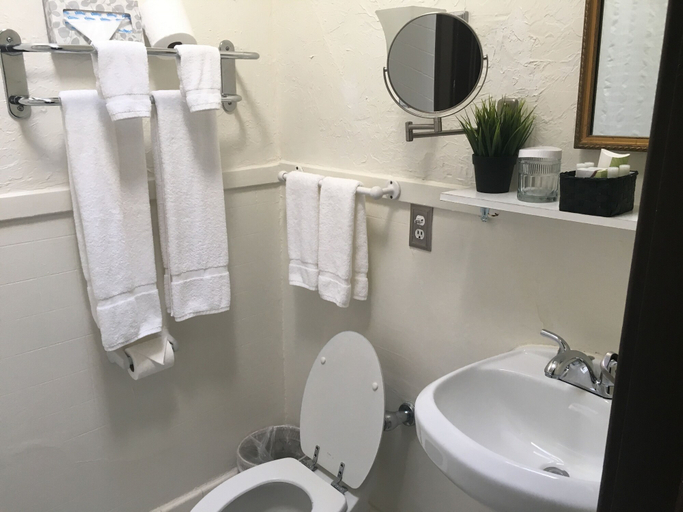 Bathroom 4, Park Plaza Hotel, Orange