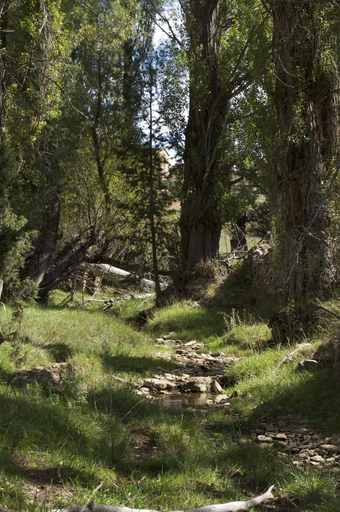 Others 5, Apartamentos Rurales Sierra de Gudar, Teruel