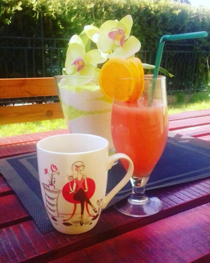Food & Drinks, Vila Olivera Niska Banja, Niš
