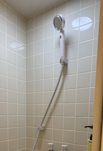 Bathroom 5, samurise NORTH, Fujikawaguchiko