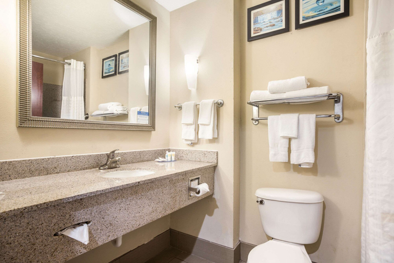 Bathroom 4, Clarion Point Forsyth, Monroe