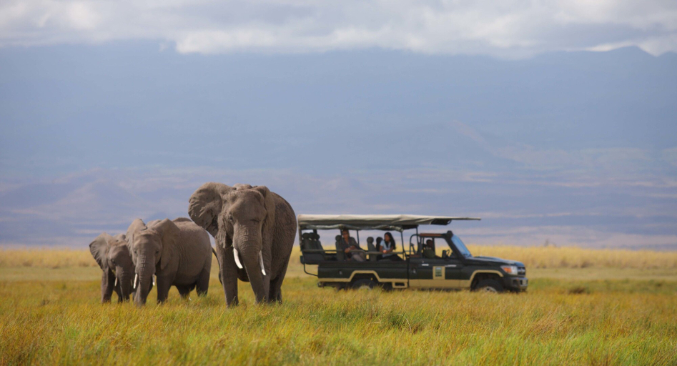 Others 5, Elewana Tortilis Camp, Kajiado South