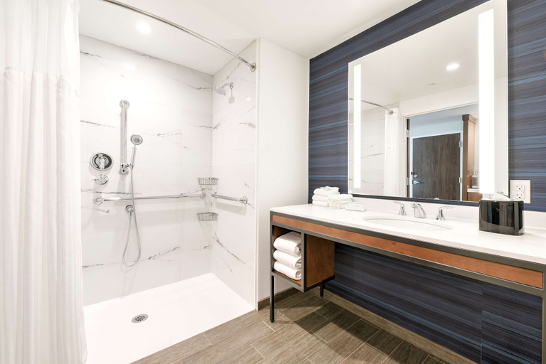 Bathroom 4, Hilton Garden Inn Fremont Milpitas, Alameda