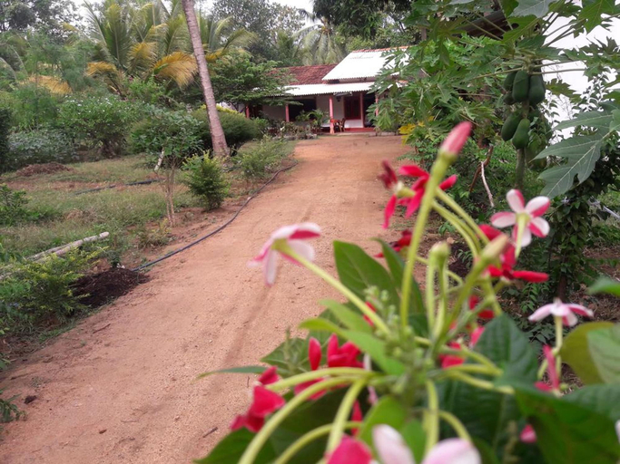 Others 5, sigiriya pikaso homestay, Dambulla