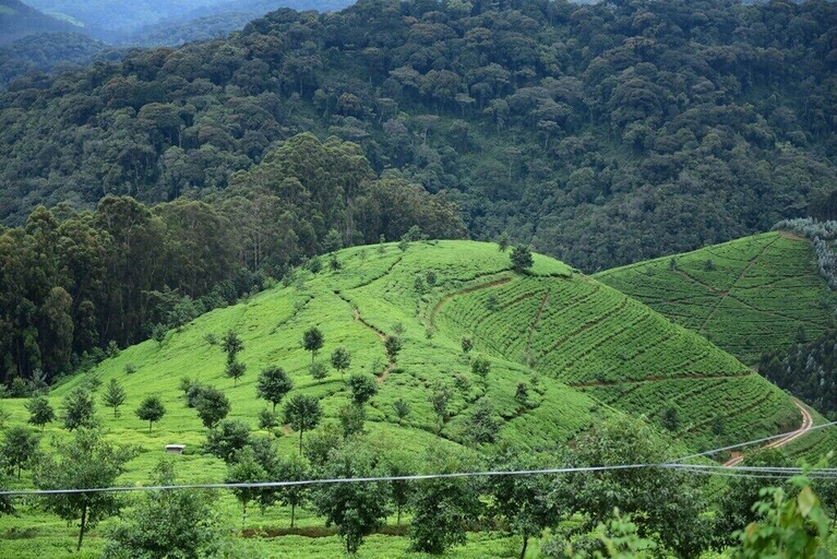 Others 5, Nyungwe Eco Village, Nyamasheke