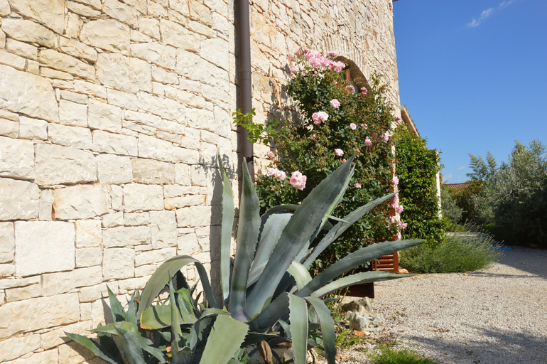 Others 5, Villa Veleniki, Poreč