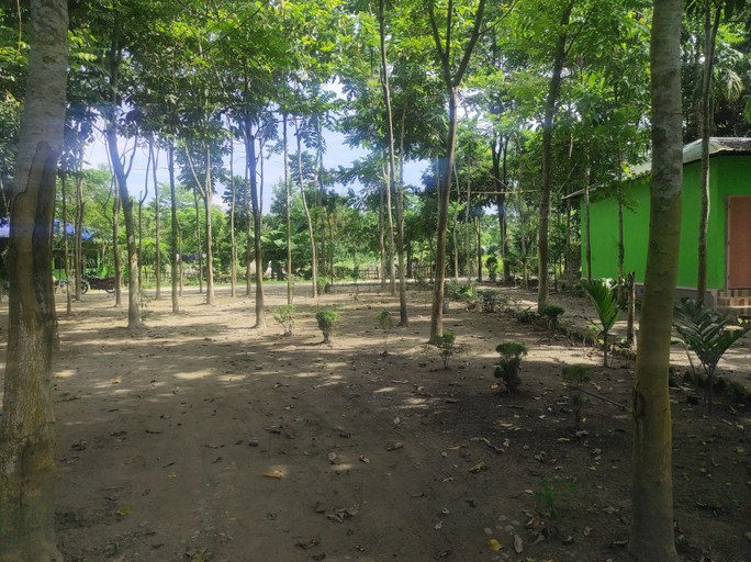 Others, Homecation Dalvi Cottage, Baksa