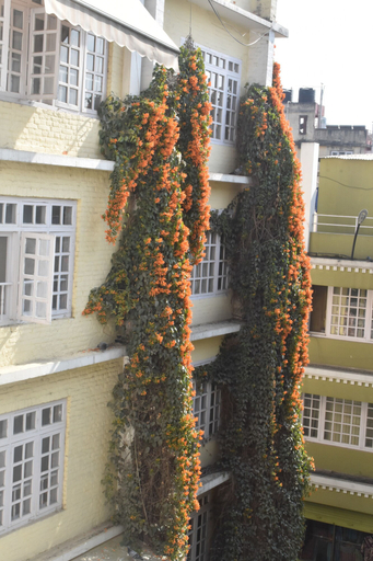 Exterior & Views, Festoon Hotel, Bagmati