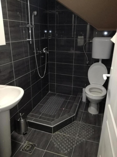 Bathroom 3, Vila Olivera Niska Banja, Niš