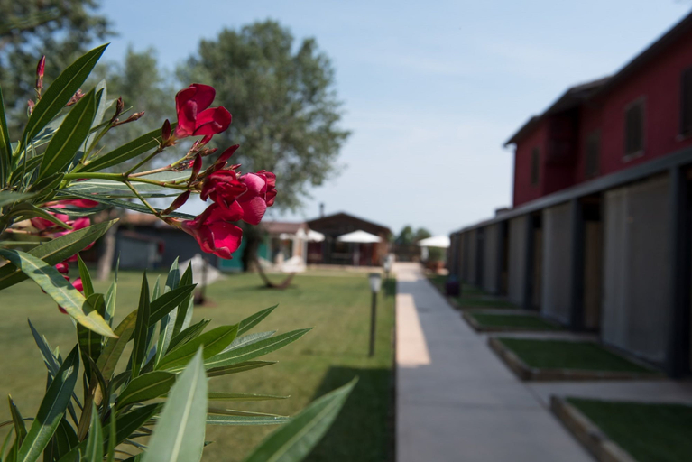 Exterior & Views 2, Country Resort Le Due Ruote, Grosseto