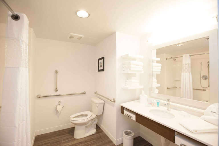 Bathroom, Hampton Inn Emerson LakePoint, Bartow