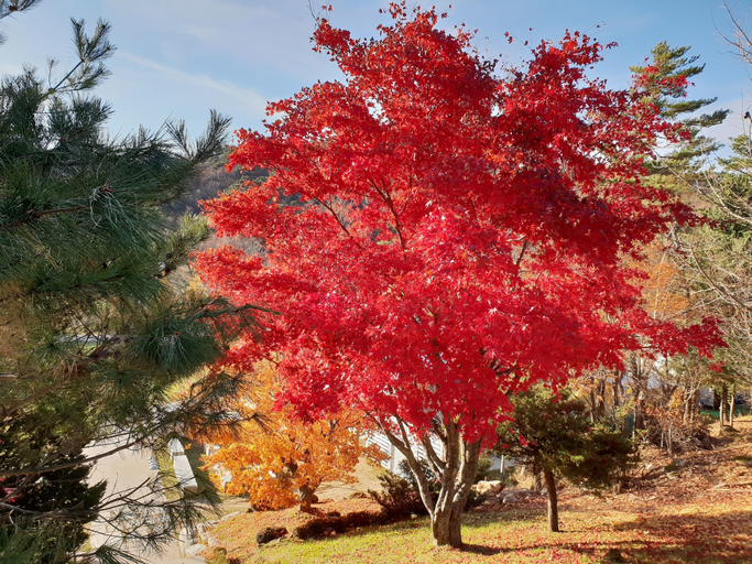 Others 2, Mediterra County, Pyeongchang