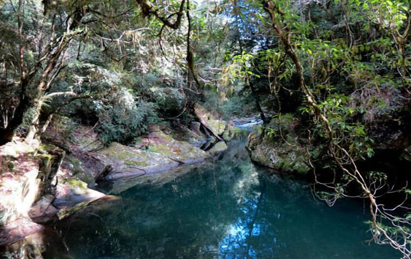Others 5, Barrington Wilderness Cedar Lodge Accommodation, Dungog