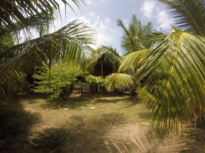Others 5, Safasurf Camp - Hostel, Pothuvil