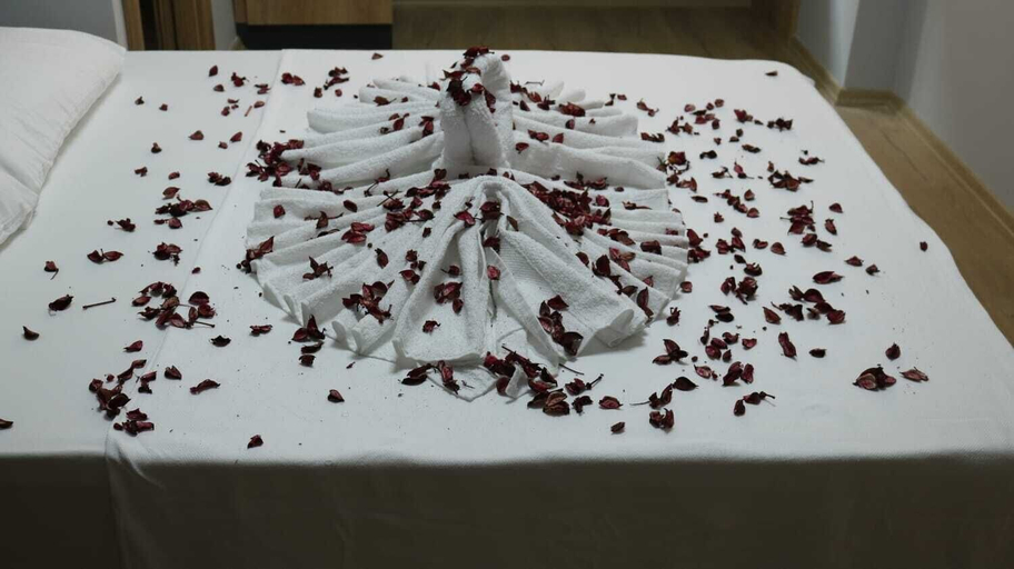 Room 4, Esas Pansiyon, Gemlik