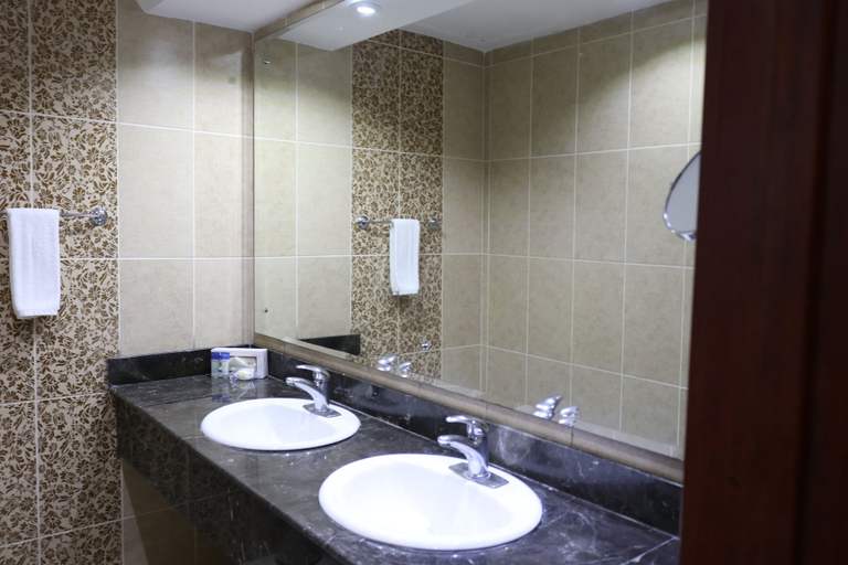Bathroom 3, Ramada Santo Domingo Princess Hotel, Distrito Nacional