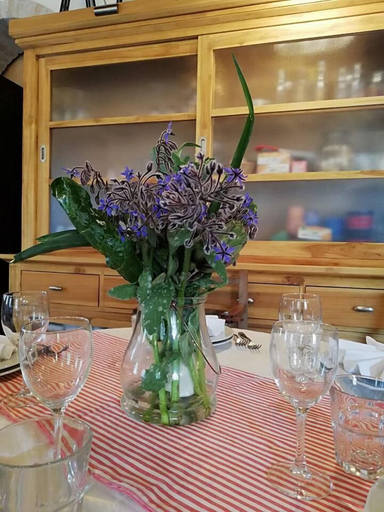 Food & Drinks 5, Agriturismo Le Macine, Teramo