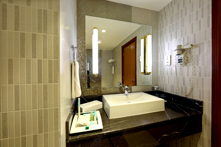 Bathroom 5, Excelsior Hotel Downtown, Dubai