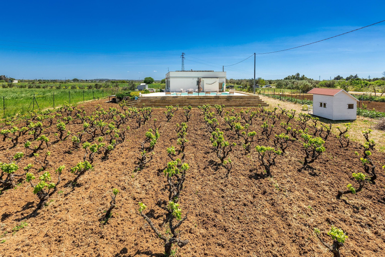 Others 5, 2340 Villa Il Neto by Perle di Puglia, Lecce
