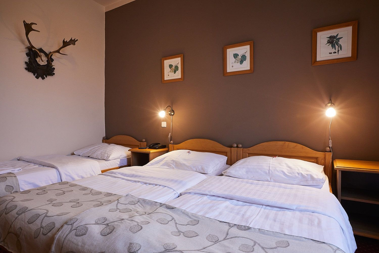 Bedroom 3, Hotel Panská, Tábor