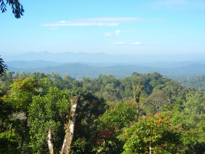 Others 4, Amritasthanam Guest House And Retreat, Kodagu