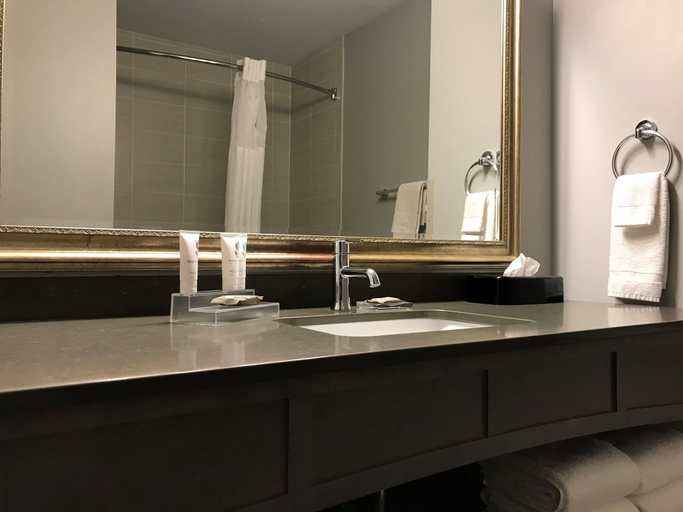 Bathroom 4, Country Inn & Suites by Radisson, Bemidji, MN, Beltrami